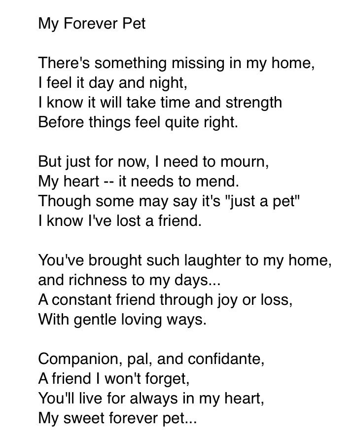 Had to put my little guy, Charlie, down yesterday. Today, for the first time in 10+ years, I haven’t had to quickly open up a can of his favorite food. I miss him terribly. I don’t know who wrote this poem, but Chewy.com forwarded to me and I post in his memory.