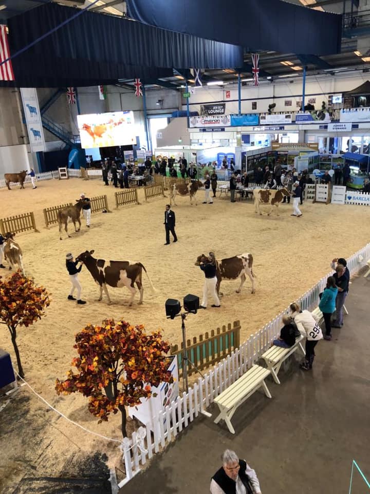 ApheyaVictoria's tweet image. Today we are at the South West Dairy show at the @BathandWest Showground.

If you're at the show today come and say hello - stand number 284, above the show ring 😀

#animal #nutrition #feed #TheDairyShow2018