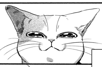 次回のねこだまりは10/5発売の週刊漫画TIMES(10/19号)に掲載予定です。よろしくお願いします🐾 