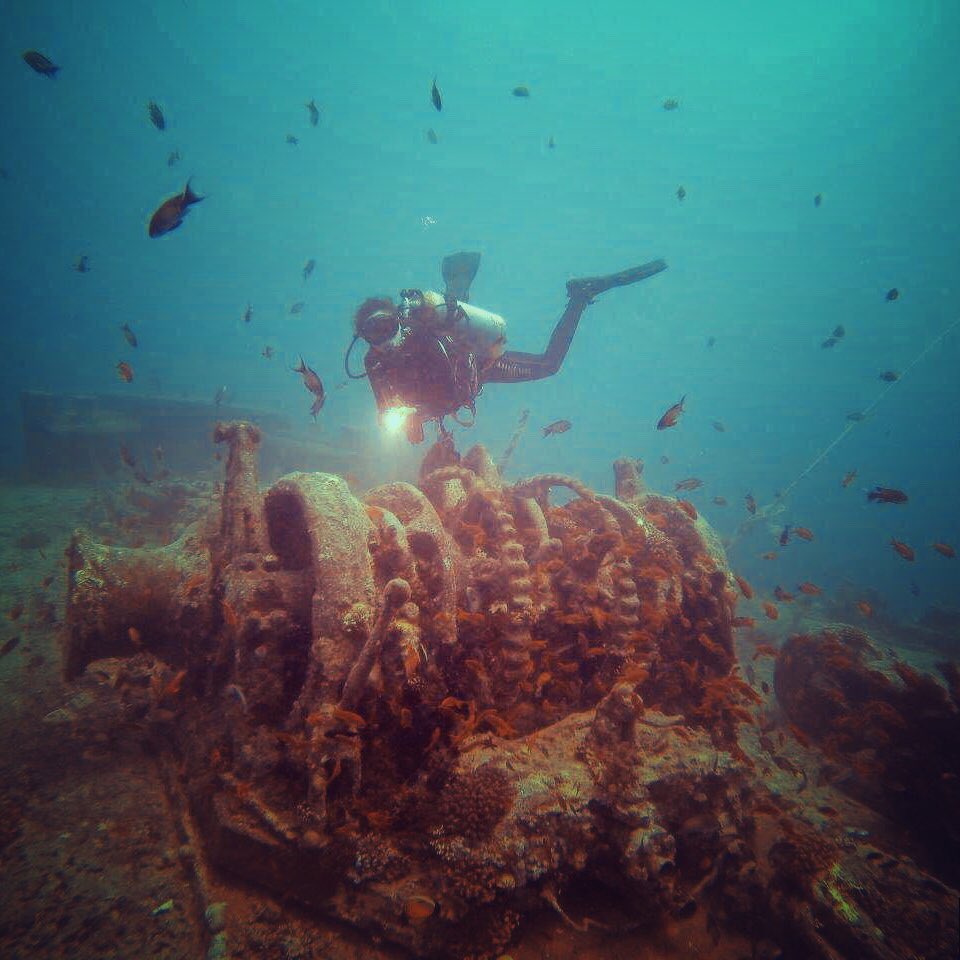 Kızıldeniz’de kuşkusuz herkesin çok sevdiği, bazılarının hayran olduğu bir dalış noktası var: Thistlegorm. Her yeri harika. Bu da devasa ırgatından bir kare. Bu yıl 2 Kızıldeniz turumuz da birbirinden renkli karelerle şenlendi. Bol bol paylaşacağız. Hazırlıklı olun! 👻 #scuba