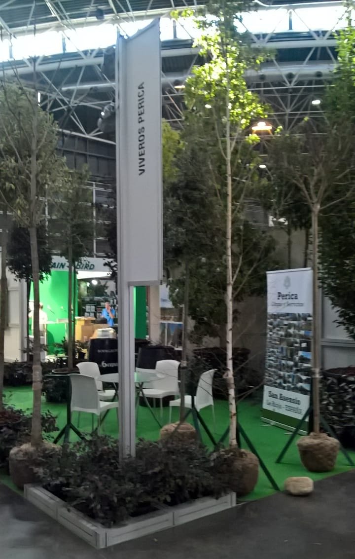 ViverosPerica's tweet photo. Empezamos @Iberflora, la Feria Internacional de Planta y Flor, Jardinería, Tecnología y Bricojardín en @Feria_Valencia. Ven a visitarnos al stand N3-P3 B58! #PericaObrasyServicios #ViverosPerica #pasionporelverde #iberflora2018 #grupoperica #plantayflor #paisajismoyarboricultura https://t.co/MpWKGl8Cx6