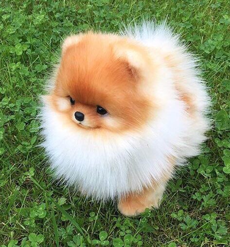 Jax0nFN's tweet photo. HI come into my life please ... 🤗🤗😍 https://t.co/W4vHK1uBnq