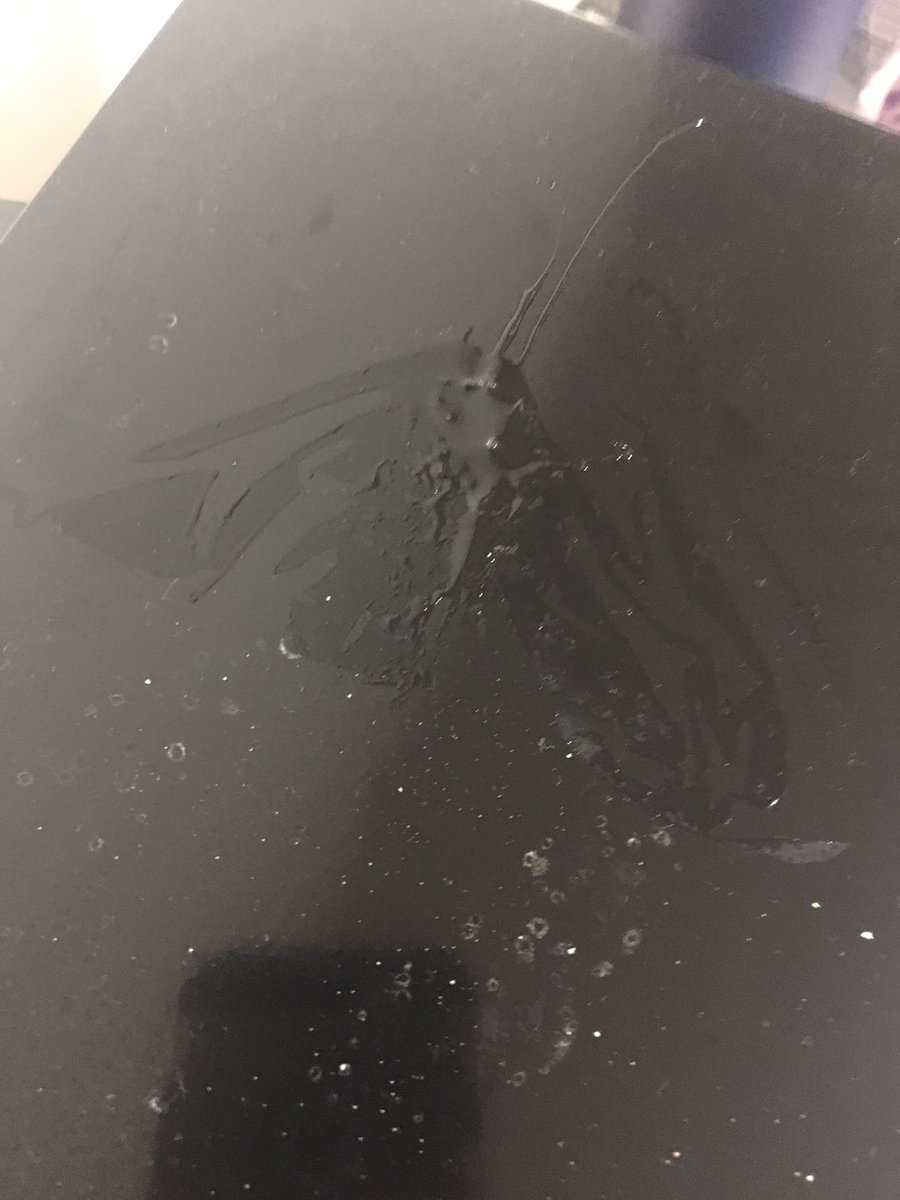 GetThemAway's tweet image. I found honey under my bread....wtf guys
#RoommatesFromHell #dormlife #dorm