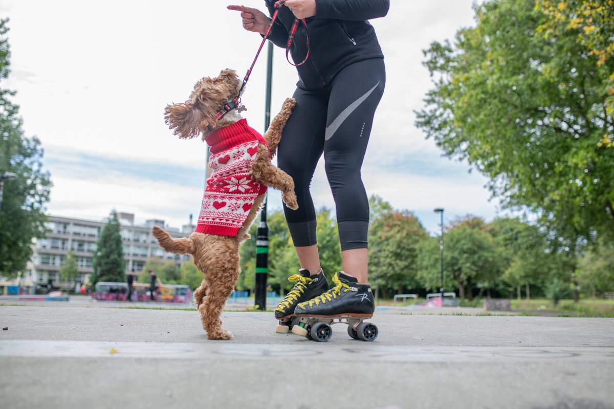 nclrollerderby's tweet image. We've been working on something very special behind the scenes at NRG.

What could we be up to?!

Watch this space for more details coming soon.....

#dogsofderby #rollerderby #dogsoftwitter #derbytwitter