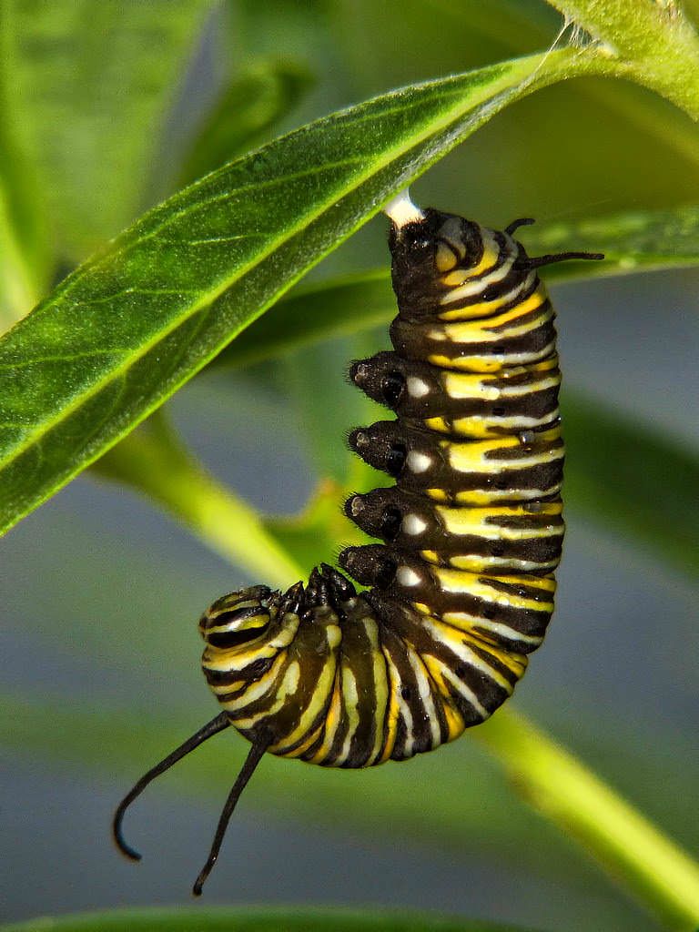 ashstewart11's tweet photo. Don't miss this one >> Transformational #Leadership:  A Rough Guide to #Leadership Models and Theories via @TristanWember https://t.co/LVdAB7SFzK https://t.co/APlW4h32D8