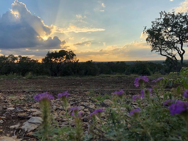 caffiend's tweet photo. Sunset from the back porch. Or at least where the back porch will be. They start putting up forms for the foundation tomorrow. 
#sunset #homebuilding #abouttime #nofilter https://t.co/MAEPaihk7e https://t.co/7r24gjjsWH