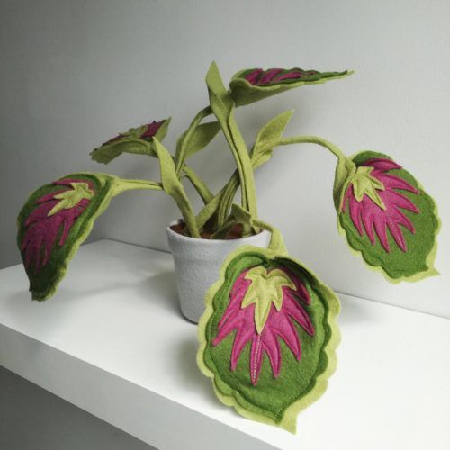 secretsofgreen's tweet photo. For all those accidental plant killers out there, the arrival of Winter only deepens the spiral. Save yourself the stress and get a gorgeous felt cactus from Little Egg Design. Soft, beautiful and invincible. Shop here: https://t.co/24HkX3S3To https://t.co/kz8oQ154Og