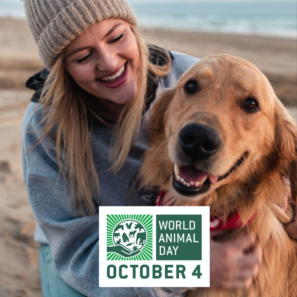 worldanimalday's tweet photo. October 4th is World Animal Day! A day to celebrate animals and raise awareness of animal welfare around the globe. Please show your support by adding our 'twibbon' to your twitter profile and sharing our hashtag! #WorldAnimalDay https://t.co/2BbRQxKisX https://t.co/UtM4HZTyyY