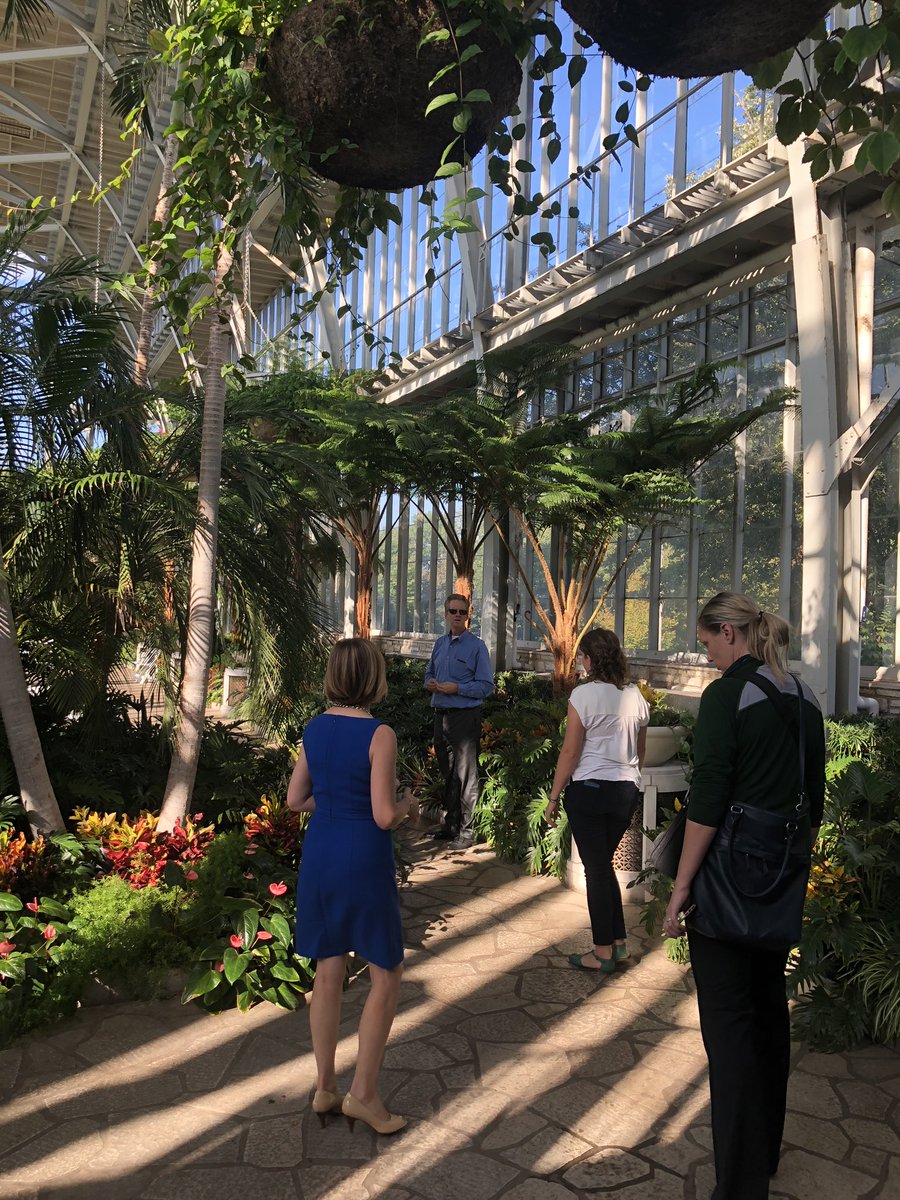 Alan Carruthers tweet media