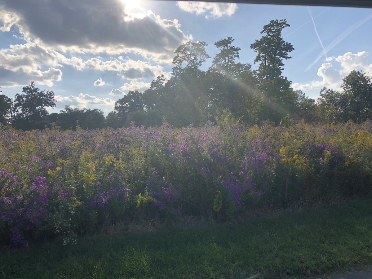 Alan Carruthers tweet media