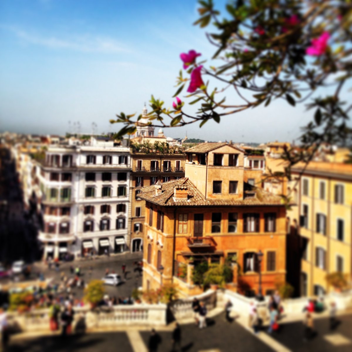 cluedyou's tweet photo. The view from the Spanish steps, Rome Italy ❤️
Only 135 steps to see this beauty 😅
#followourclues
#rome https://t.co/akTZmDPruU