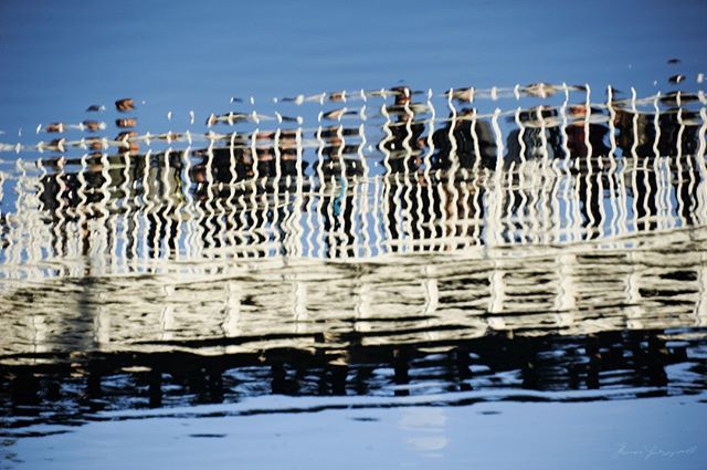 dublinstreet's tweet photo. Liffey Reflections! A group of people standing on the Ha'penny bridge, reflected in the water below!⠀
.⠀
.⠀
#discoverdublin #visitireland #visitdublin #documentdublin #dublin #dublinstreets #visitireland #visitdublin #lovedublin #lovindublin #loveire… https://t.co/R7Js8QMbiE https://t.co/htECsAc7e5