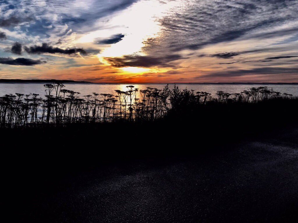 Jeinean's tweet photo. Nature’s Beauty #labrador https://t.co/SDRKj5KPL7