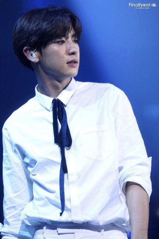 pcyhandsomesud's tweet photo. ช่วงสนทนาภาษาชานยอล

A: ชานยอลเซ็ทนี้คือบับ
หล่อออออออออออออออออออออออ
ไป

B: อะไรวะ

A: หล่อเกินไป https://t.co/jcpNv9AYa9