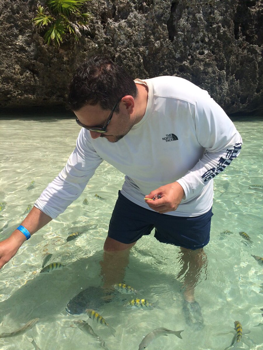JorgeRdeportes's tweet photo. #westbay #infinitybay #Relaxtime #Roatan 🍻🐠🐟☀️🏝⛱ https://t.co/hhoJWVz6yB