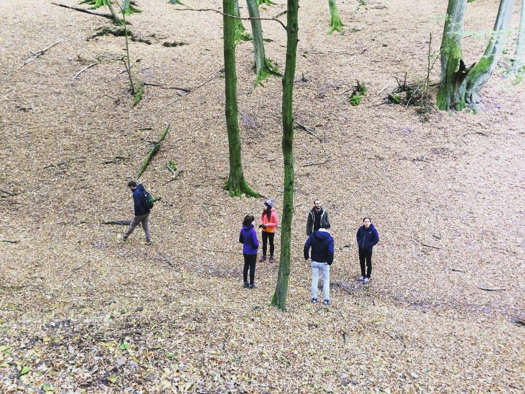 BiogeoBerlin's tweet photo. Enjoying the forests of Brandenburg during our #labretreat2018 https://t.co/Y5HhgPRlvk