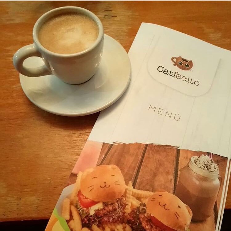 CatfecitoGazzu's tweet photo. Coffe time ! https://t.co/DTdQtkZpY4