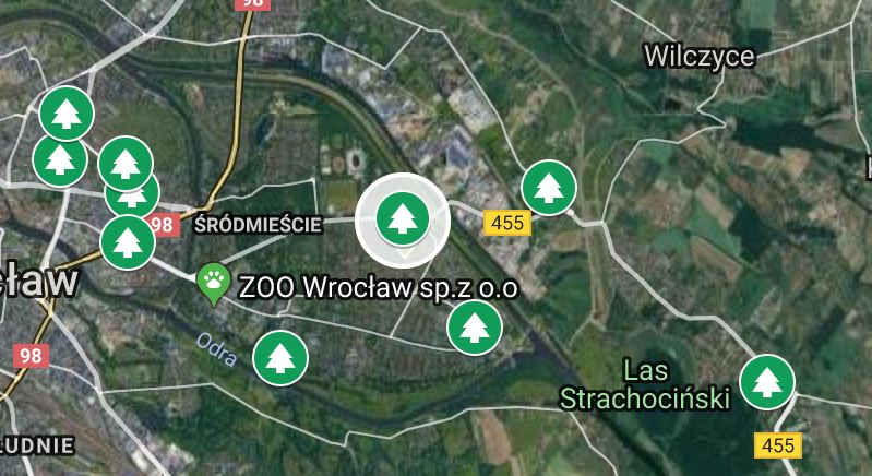 🌳🌲89 drzew i 🌾🌿 1460 krzewów zostanie nasadzonych na #Śródmieście, #WielkaWyspa, #Swojczyce i #Wojnów w ramach projektu 100 ulic na 100-lecie niepodległości. ➡️Zobacz lokalizacje: piotruhle.pl/nowe-nasadzeni…
#CałyWrocławBliżejDomu #LepszeŻyciewSercuMiasta