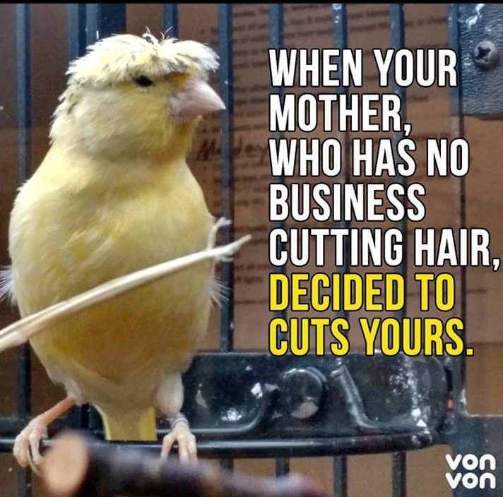 Hair Designers tweet media