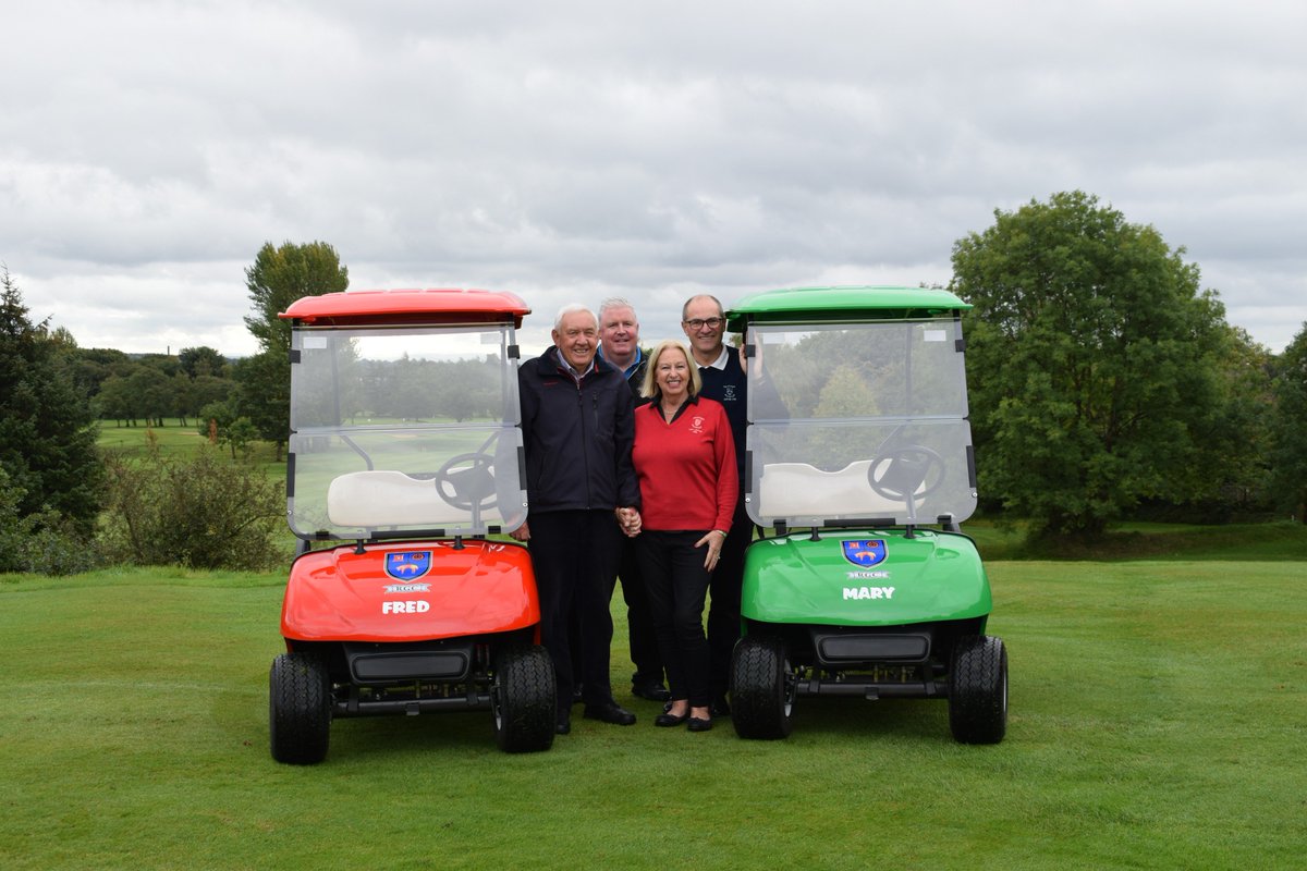 powerhouse golf buggies for sale