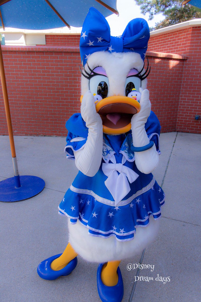 Brand New Day ディズニー パリ Brand New Day ディズニー パリ Combrojospszl
