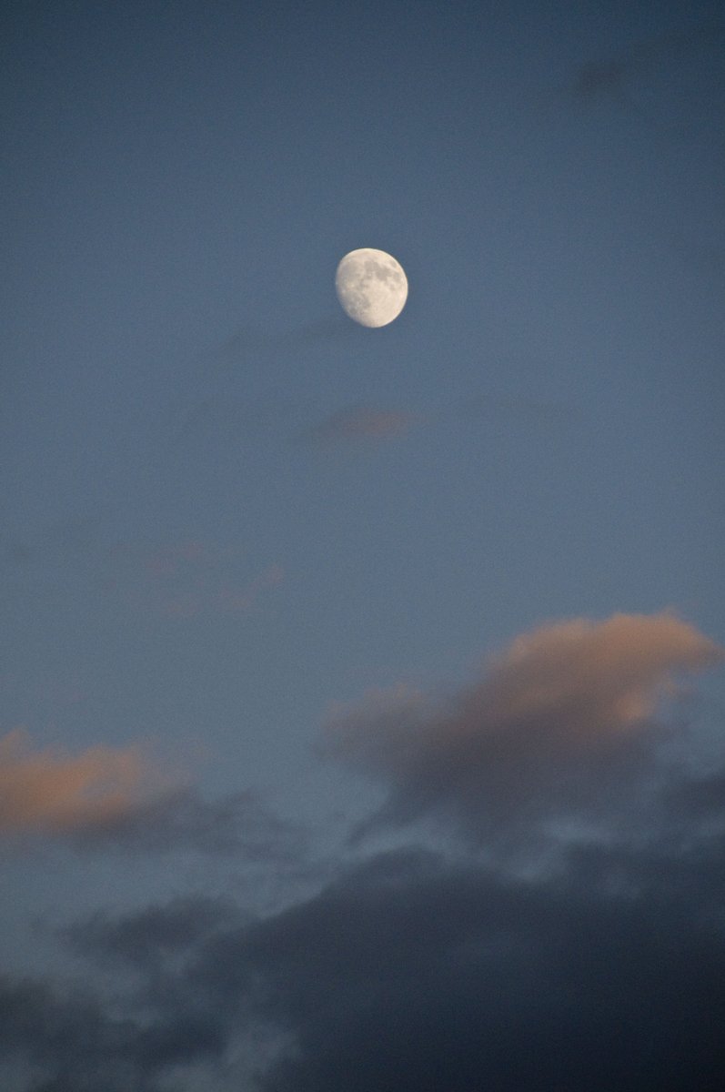 Fairfax County Parks On Twitter Theres Always Something