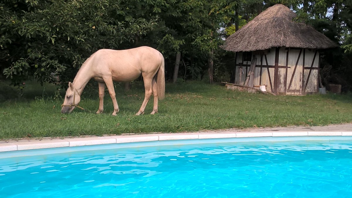 After bathing, I'm Hungary Kecskemét.