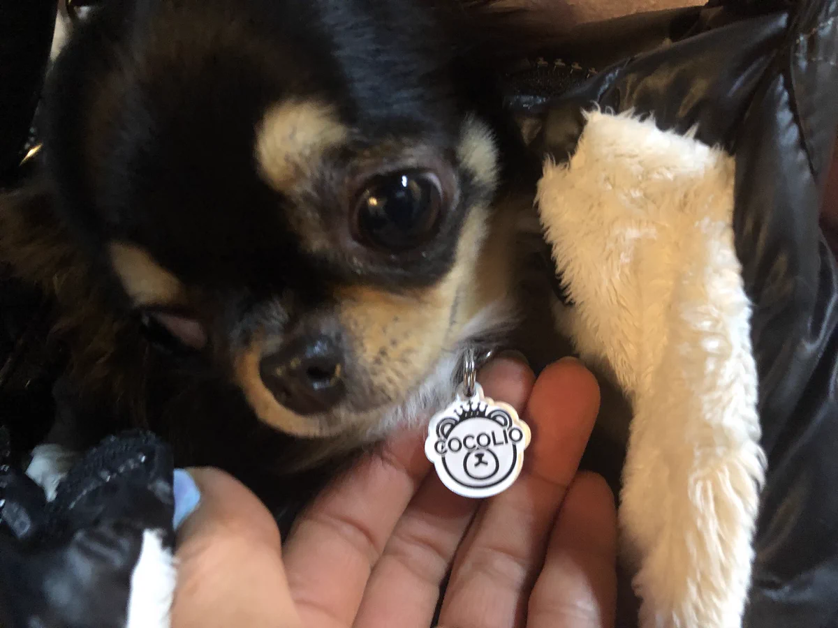 こんなの待ってた！！大事なペットを守る迷子札！！