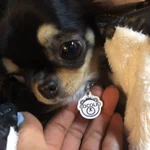 こんなの待ってた!大事なペットを守る迷子札!
