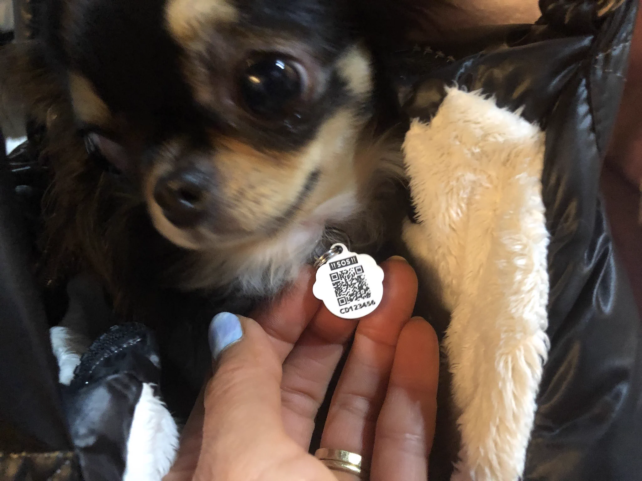 こんなの待ってた！！大事なペットを守る迷子札！！