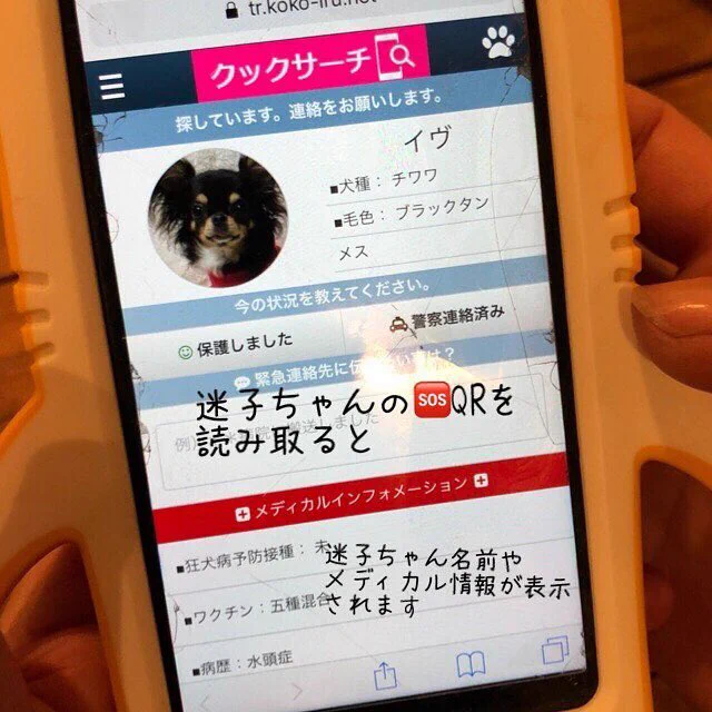 こんなの待ってた！！大事なペットを守る迷子札！！