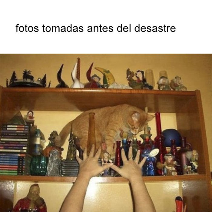 DollT81XUAEiful.jpg