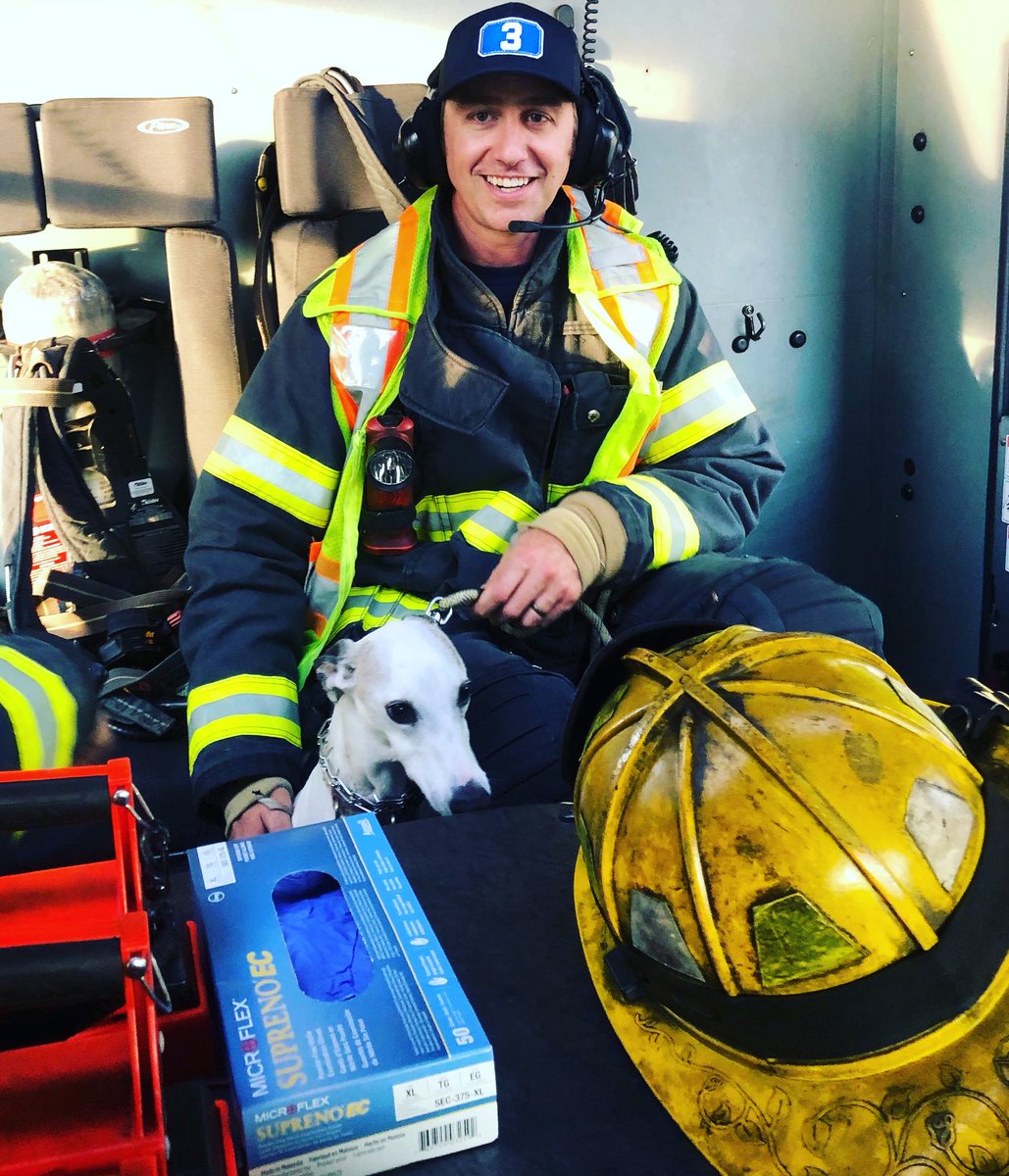 AshevilleFD's tweet photo. Look who got a special ride in a fire truck! Rescue 3 escorted Taco home safely while his mommy received medical care for a non-life-threatening injury. #furrbaby #NCFire https://t.co/4rplXOX8K2