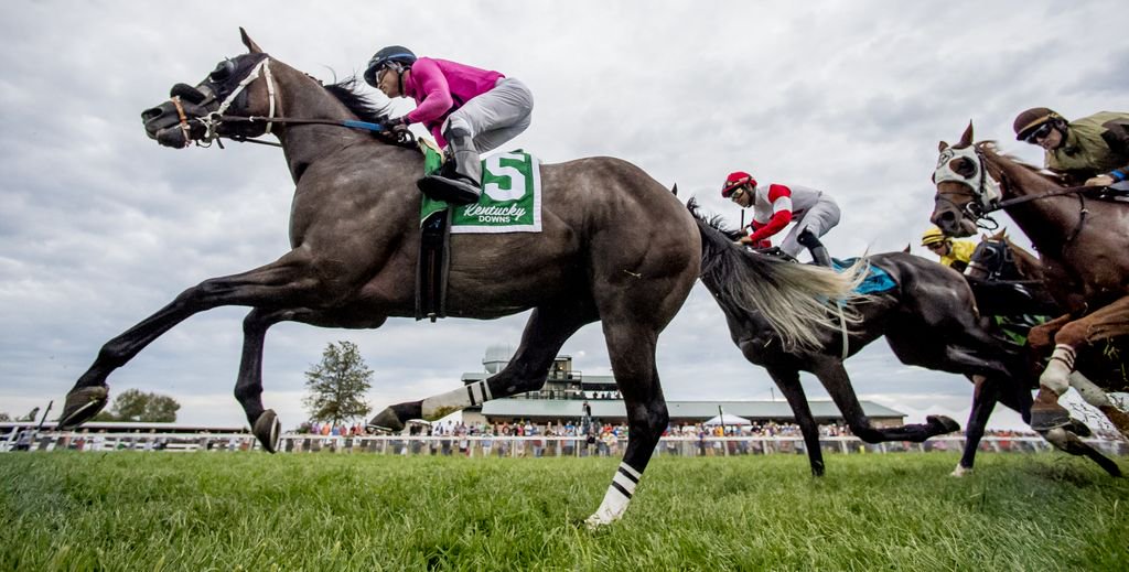 EclipseSports's tweet photo. #BehindTheImage Sometimes, with photographing #horseracing, you just want to feel like you are inside the action. Instead of using a long lens, we used a 14mm super wide angle to make the expansive image to let you feel like you are right inside the pack. @BreedersCup @ABRLive https://t.co/wnFrK9Uts6