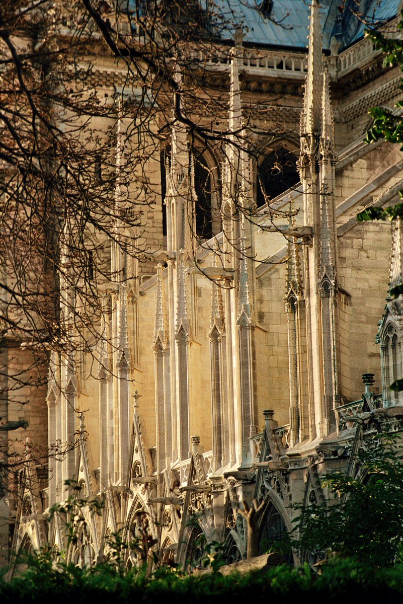 davidphenry's tweet photo. The flying buttresses on the southwest façade of Notre-Dame de Paris were designed by Jean Ravy, have been rebuilt several times and were most recently restored in the nineteenth century. #flyingbuttresses #façade #NotreDame #Paris #JeanRavy #îledelaCité https://t.co/rRcmVxyEOO