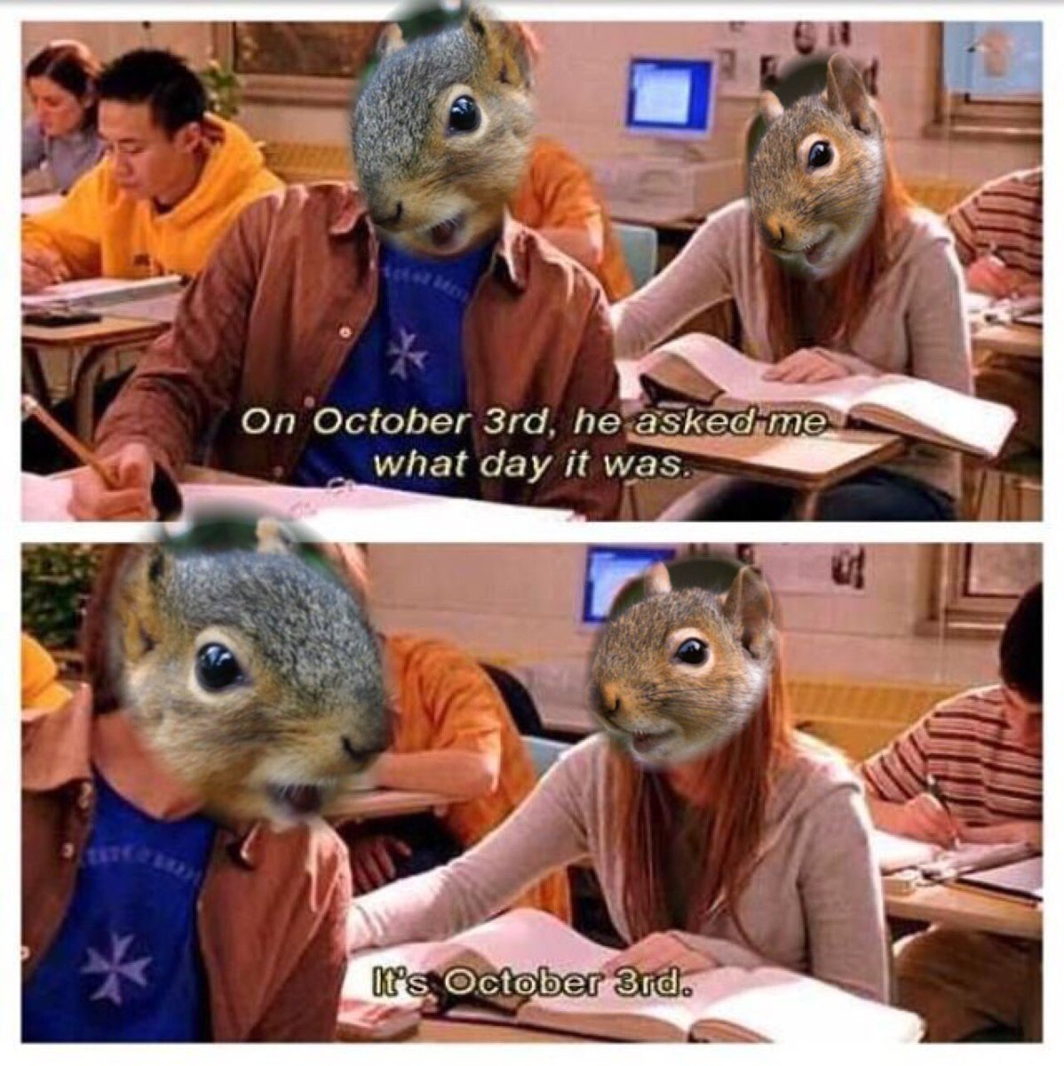 NCSU Squirrels tweet media