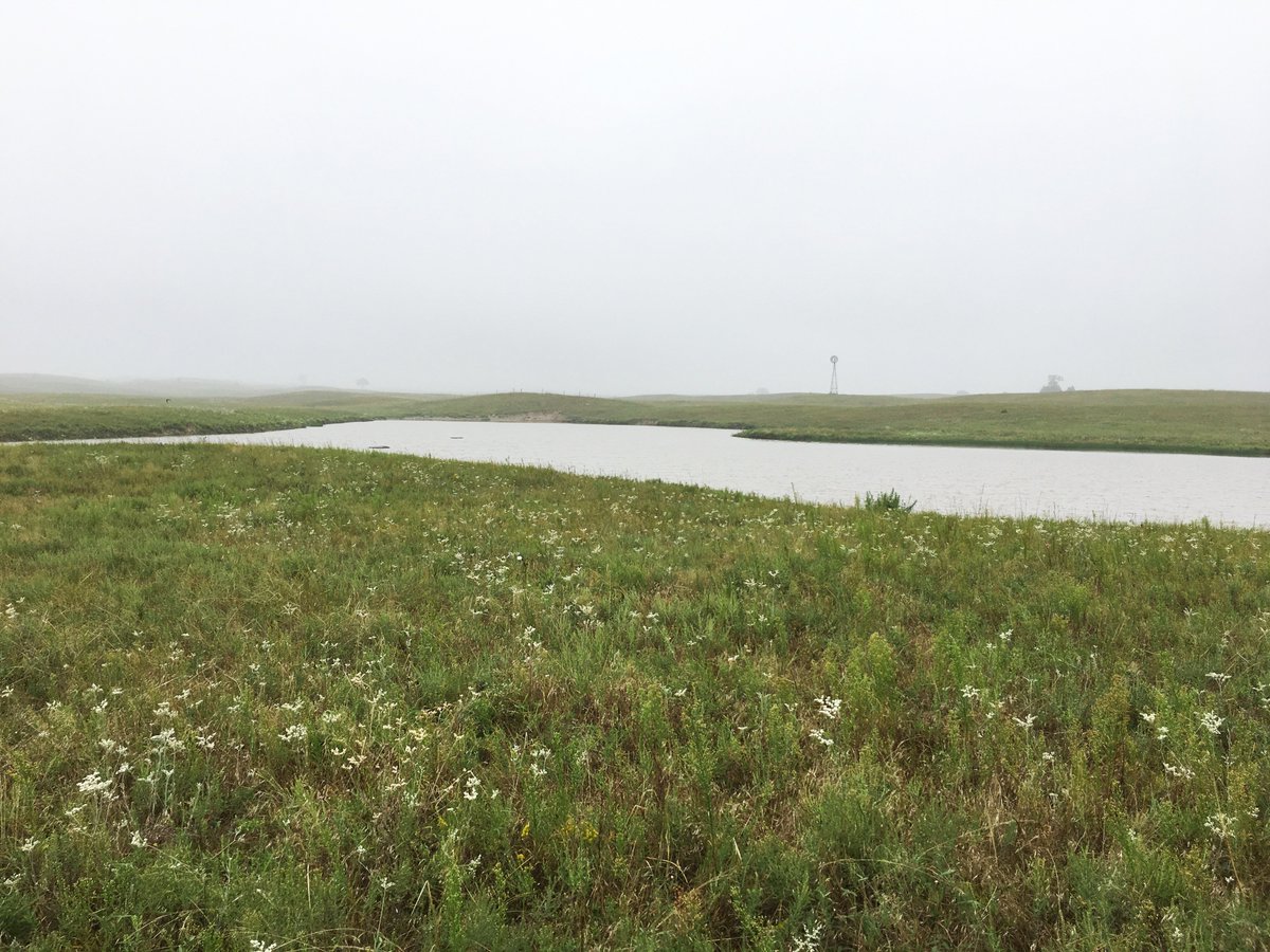 Lashley Land (LashleyLand) Twitter