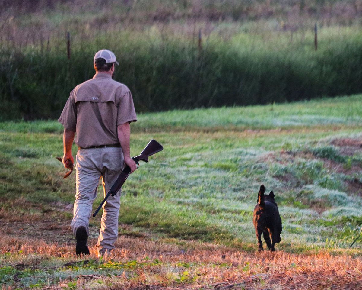 SVALodge's tweet photo. “The bond between a hunter and his dog can’t be described; But only felt”
Steve Reider
#mansbestfriend #dog #huntingdog #birddog
#springvalleyrodandgun #nwahuntingclub #nwafishing #nwahunting #arkansasoutdoors #dove #dovehunt #openseason #oklahomahunting #huntoklahoma https://t.co/YKo1MEddkt