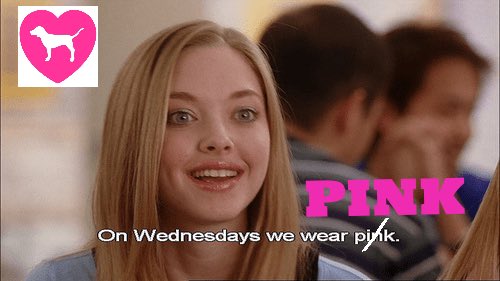 YSU VSPINK tweet media