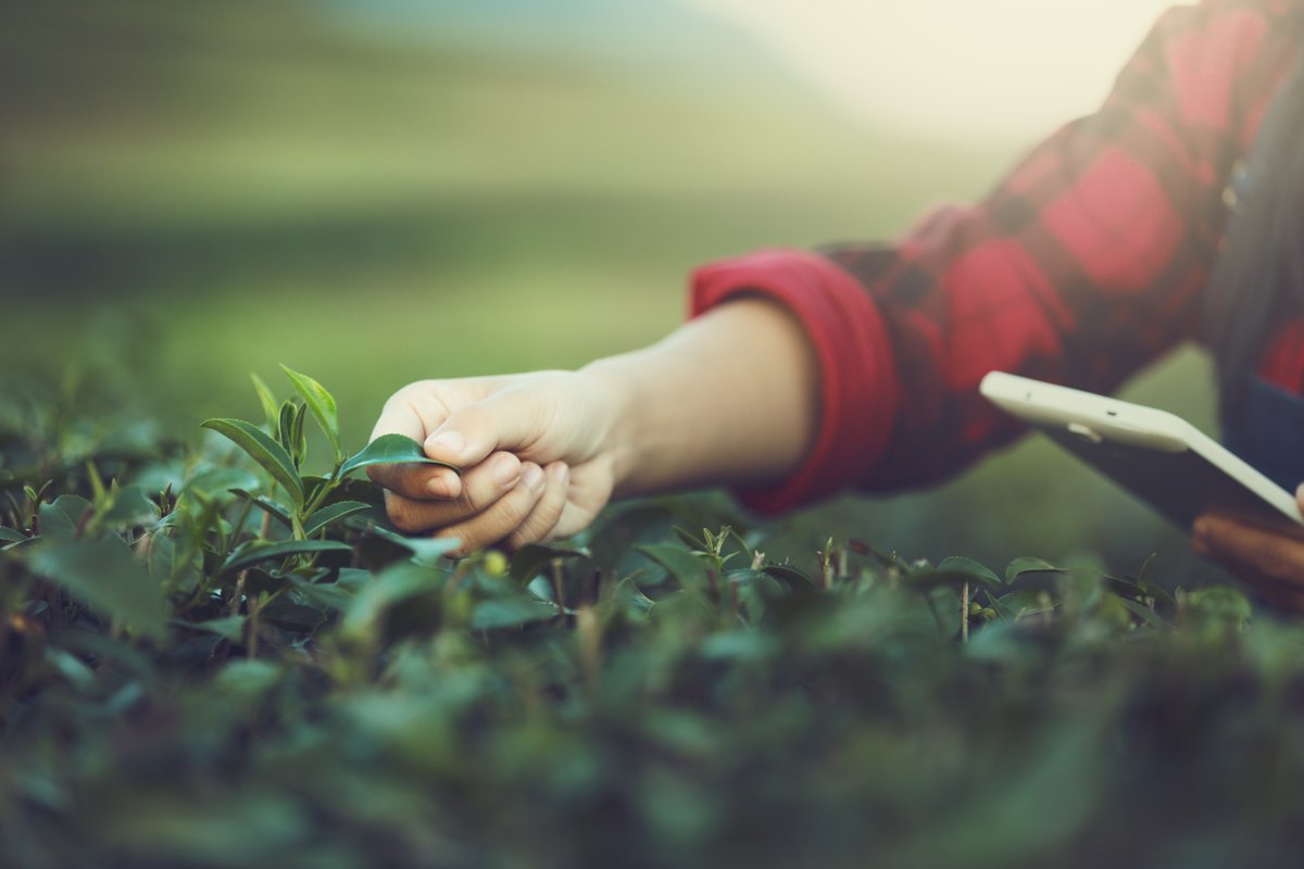 Sabes mejor que nadie como gestionar tus #Cultivos.👍
Por eso te proponemos conocer #ClimaVistaAgro. 

Para una gestión más Simple &amp; Conectada 🚜 👉bit.ly/2DNiT6x