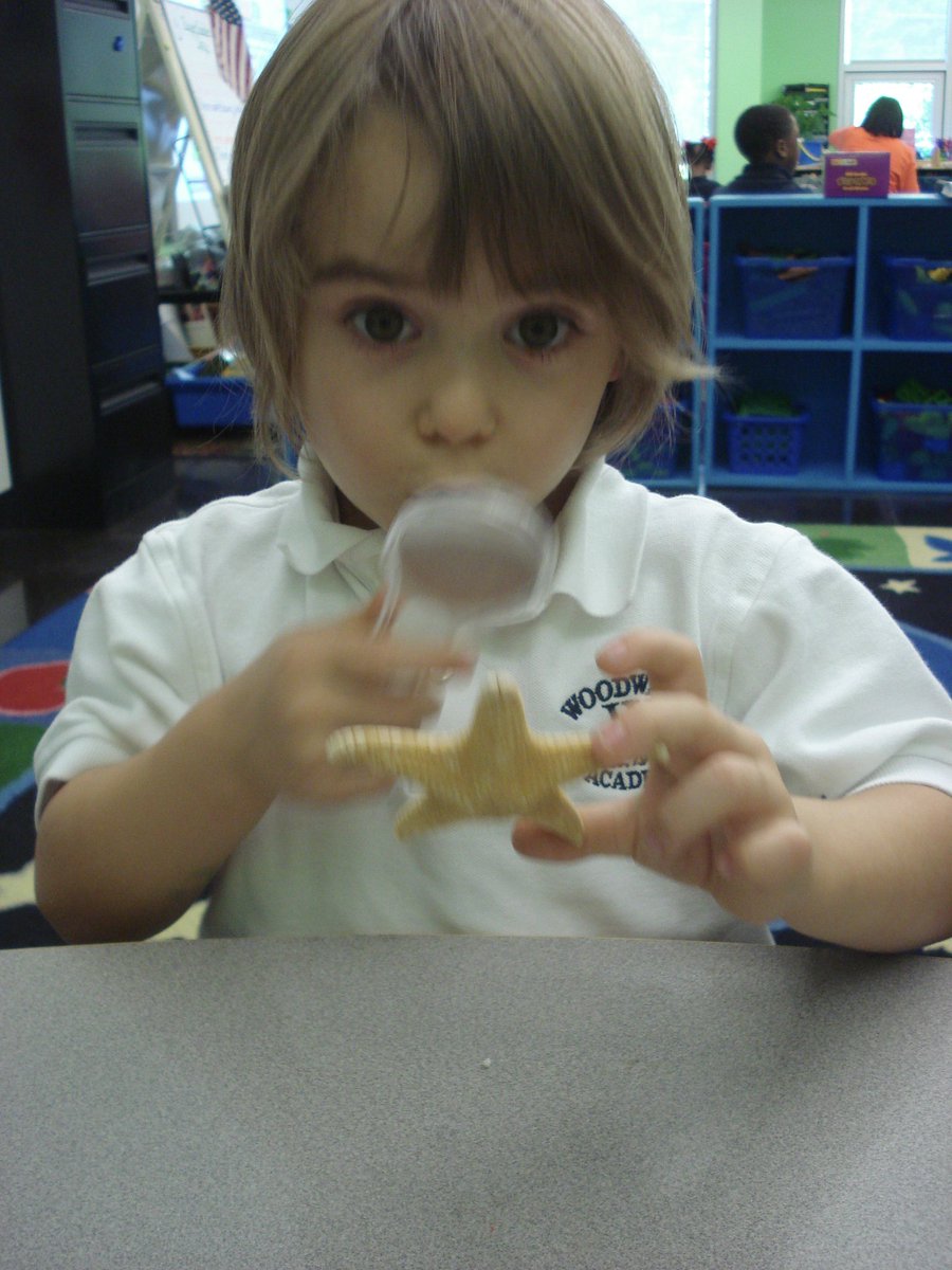 David Rogie tweet media