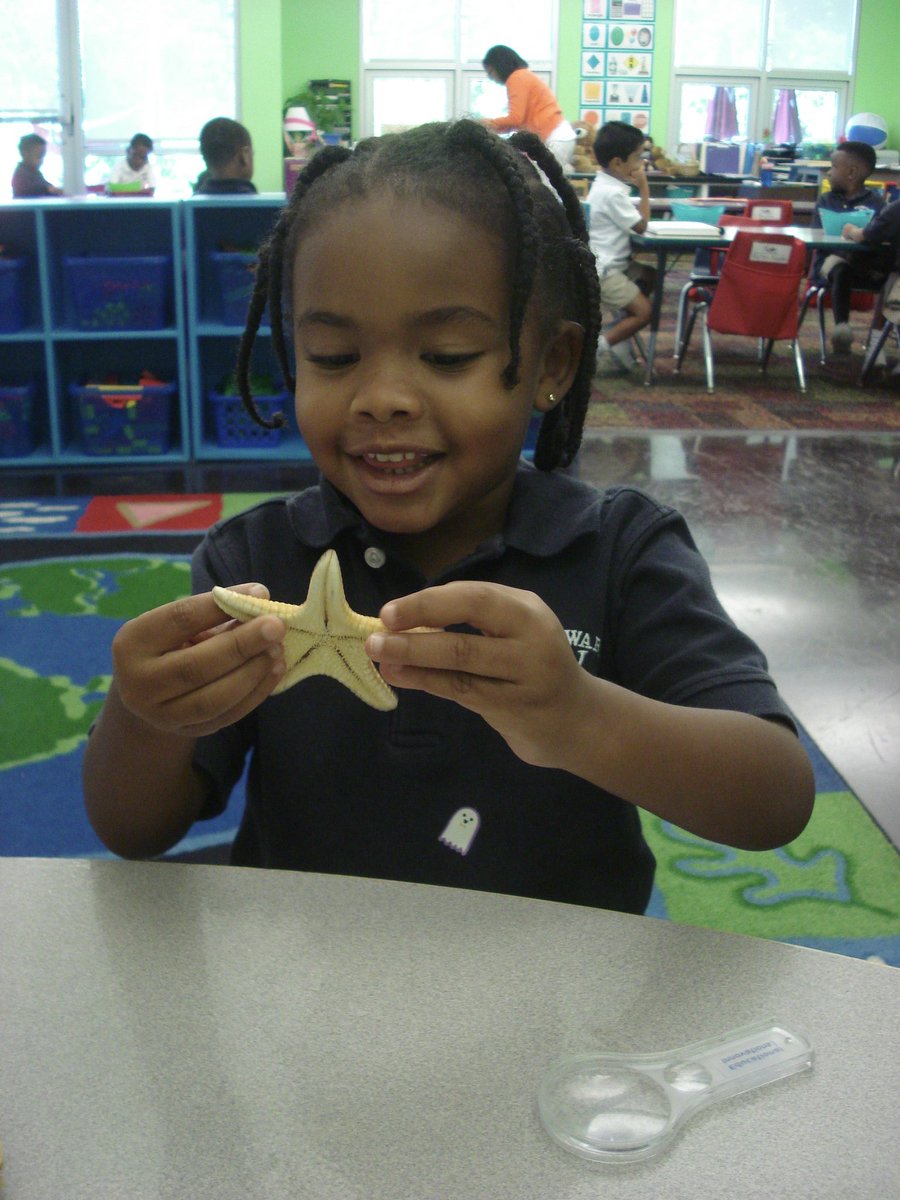 David Rogie tweet media