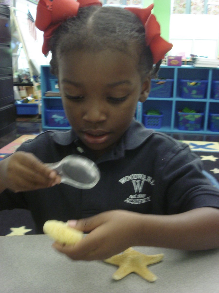 David Rogie tweet media