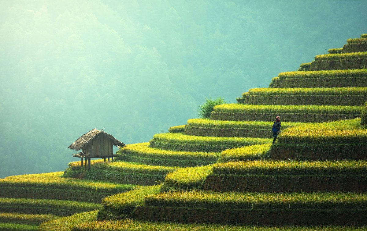 P&PD Ingenieros tweet media