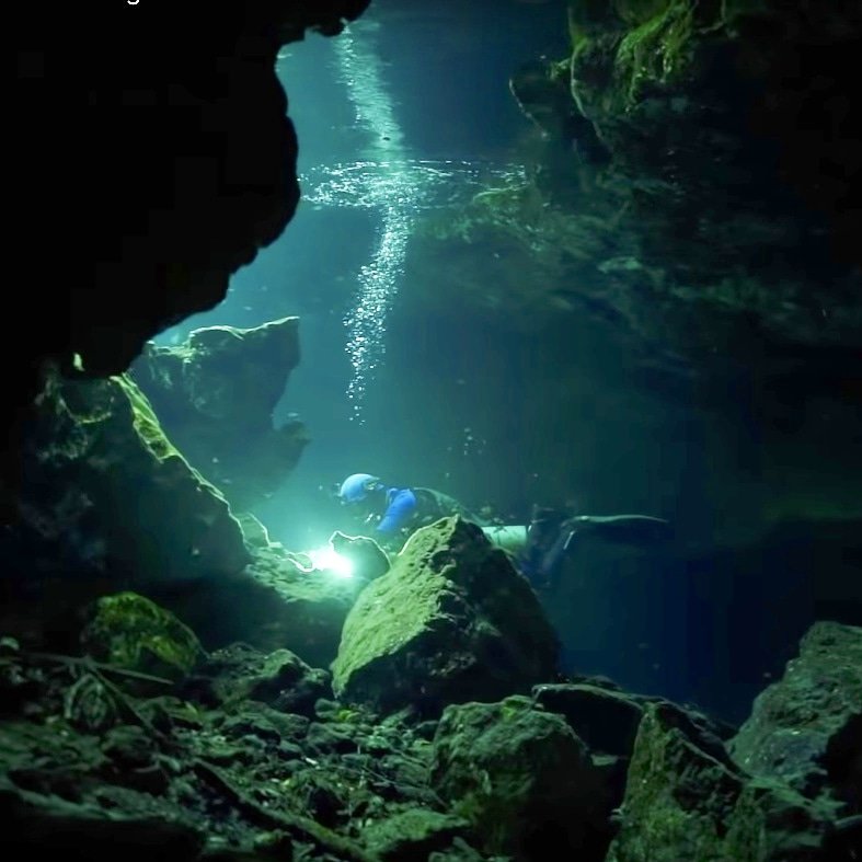 thymann's tweet image. Premier!!
New film I did in #Mexico about #seaturtles and the environment
Watch at KlausThhymann.com