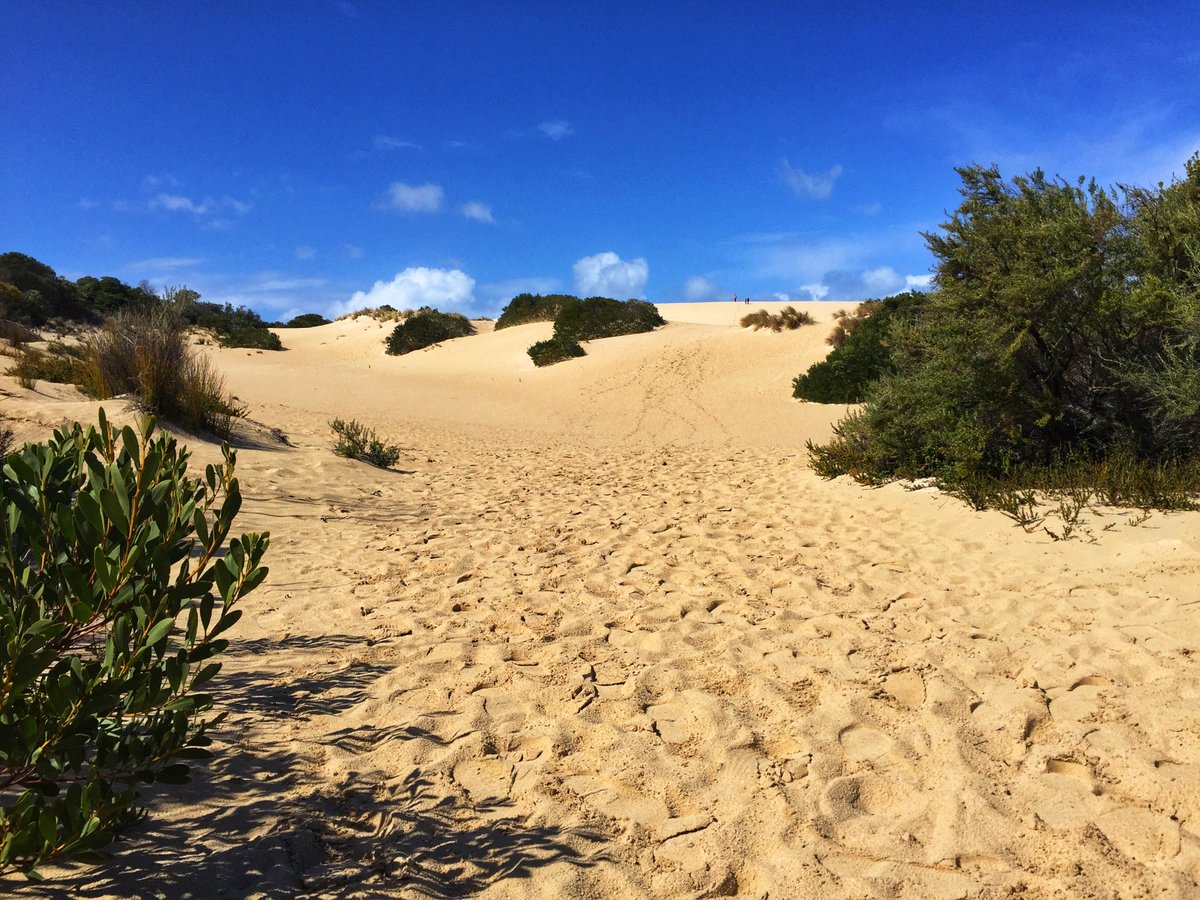Ben best trots op de website van mijn praktijk die nu on air is. Ik zou zeggen: bekijk hem, vraag je af of je iemand kent voor wie ik iets kan betekenen en wijs hem/haar op praktijkbartboele.nl . thanks!