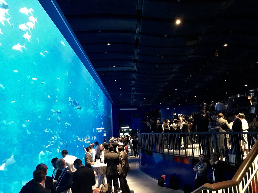 Day 1 of #SIBCON2018 has officially ended! We hope that all of you had a great time networking with like minded professionals during SIBCON Party at the S.E.A Aquarium!