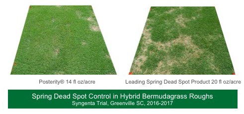Golfdom's tweet image. Looking to prevent #SpringDeadSpot this fall? Consider #Time4Posterity #HoldsStronger greencastonline.com/posterity #sponsored (Photo: @SyngentaTurf)