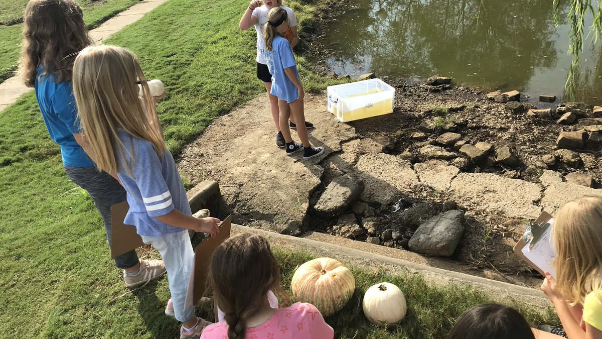 LegacyElement's tweet photo. Big Fish in a Little Pond happening now with @LegacyElement 4th graders. Our Big Fish are experimenting with pumpkins at #ProjectPond @MadCoSchools @AlabamaWildlife @EDGreenRibbon #ALLmeansALLMCSS https://t.co/6mkMly1L6Q