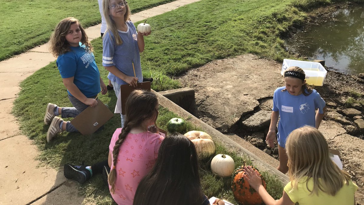 LegacyElement's tweet photo. Big Fish in a Little Pond happening now with @LegacyElement 4th graders. Our Big Fish are experimenting with pumpkins at #ProjectPond @MadCoSchools @AlabamaWildlife @EDGreenRibbon #ALLmeansALLMCSS https://t.co/6mkMly1L6Q